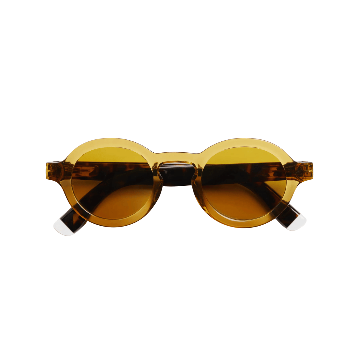 Charles Glossy Sun