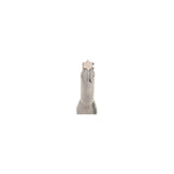Lames de rechange pour tournevis Torx, série standard
