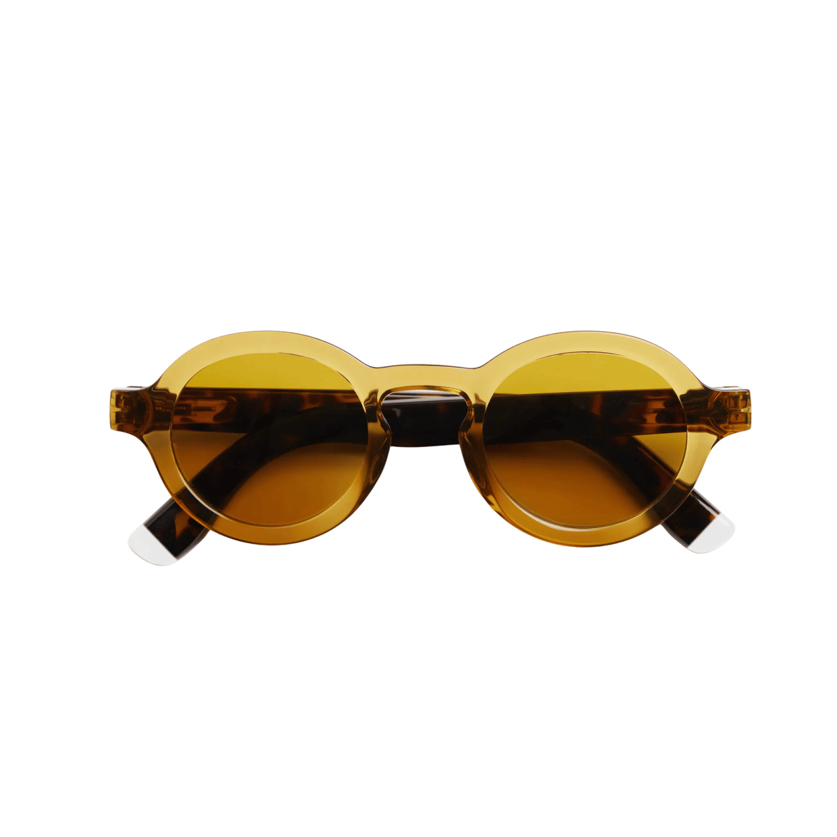 Charles Glossy Sun